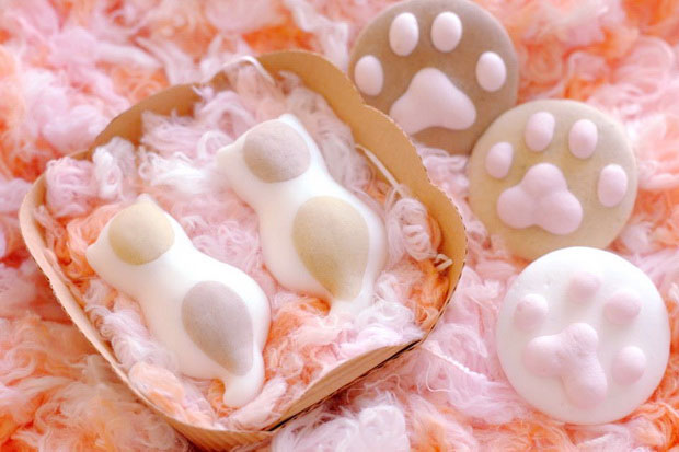 Marshmallow cat in the cup มาร์ชแมลโลว์แมวในถ้วยกาแฟ ธุรกิจน่าทำ ไอเดียใหม่จากประเทศญี่ปุ่น