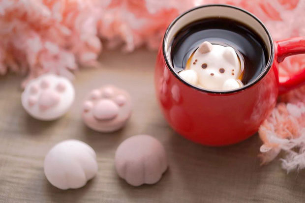 Marshmallow cat in the cup มาร์ชแมลโลว์แมวในถ้วยกาแฟ ธุรกิจน่าทำ ไอเดียใหม่จากประเทศญี่ปุ่น