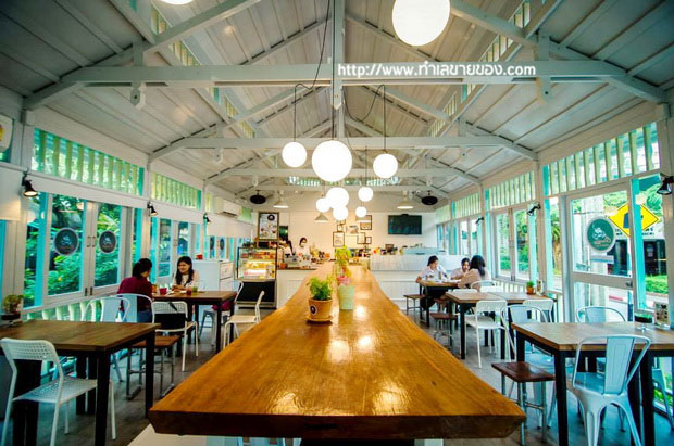 Orangery Cafe ไอศกรีมต้นไม้ (ไอเดียเจ๋ง  ธุรกิจไอเดียทำเงิน ของเด็กอายุ 14 ปี)