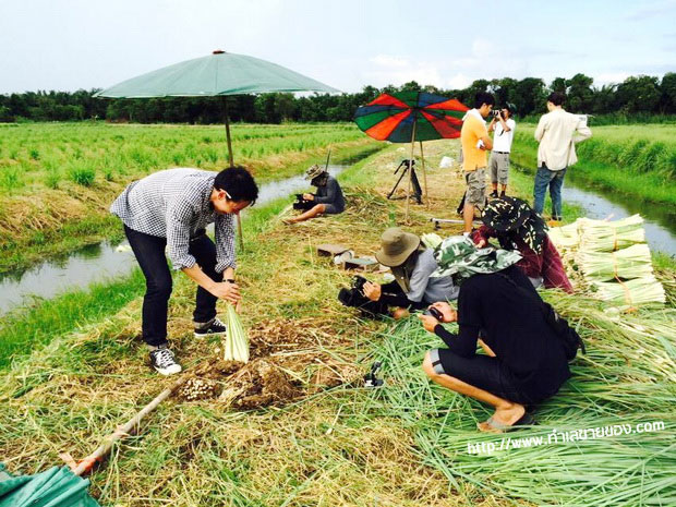 ทิ้งเงินเดือนวิศวะ หันมาจับ "ธุรกิจเกษตร" จนมีวันนี้ "ตะไคร้เงินล้าน 100 ไร่"