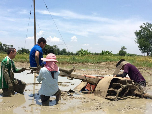 จากชีวิตนักข่าวสำนักงาน ‘Reuters’ สู่ชีวิต “ชาวนาเงินล้าน” (ความสุขไม่จำกัด)