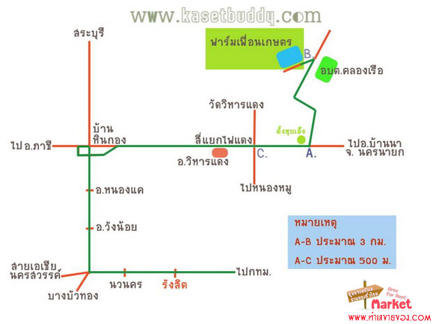 ถั่งเช่าสีทอง ในขวดแก้ว กิโลละ 60,000 (เพาะได้-ขายเป็น มีหวังรวย..) โดย ลุงหยุด