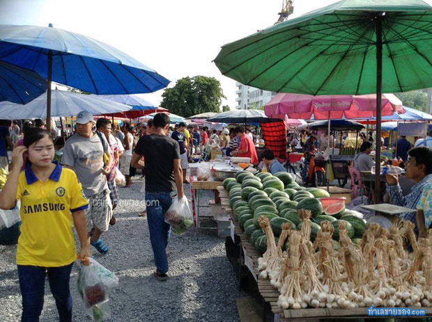 ตลาดนัดชุมชนวัดไร่ขิง “ตลาดนัดใหญ่ 1,000 กว่าล็อค ทุกวันอาทิตย์” 