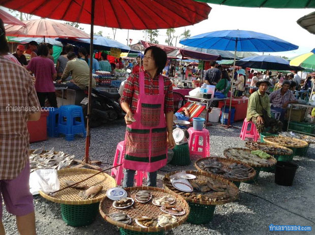 ตลาดนัดชุมชนวัดไร่ขิง “ตลาดนัดใหญ่ 1,000 กว่าล็อค ทุกวันอาทิตย์” 