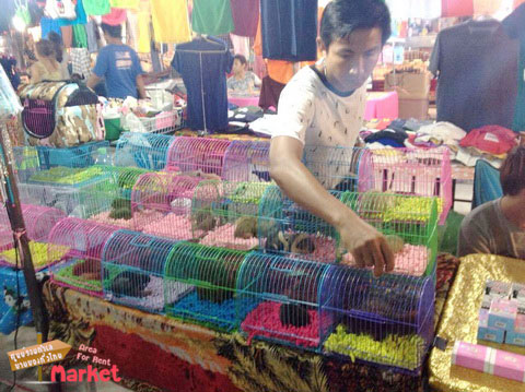  ตลาดคลองหลอด 2 ใหม่