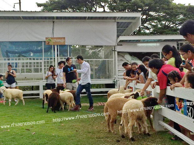 ตลาดนัดทุกวัน ตลาดนัดเปิดใหม่ย่านเทพารักษ์หนามแดง