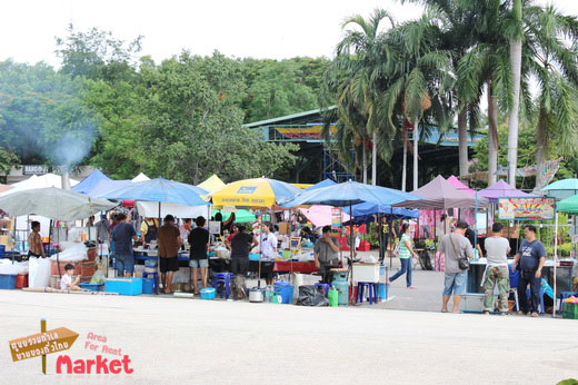 ตลาดนัดรับเพื่อนใหม่