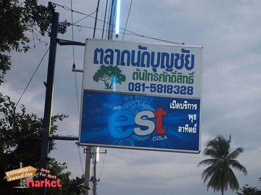 ตลาดนัดบุญชัย ต้นไทรศักดิ์สิทธิ์