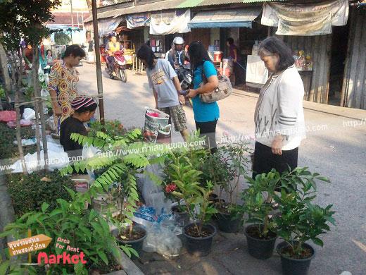 ตลาดนัดวัดทุ่งครุ