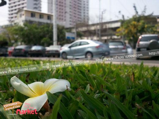 ตลาดนัดคลองสาน พื้นที่เช่าท่าเรือคลองสาน