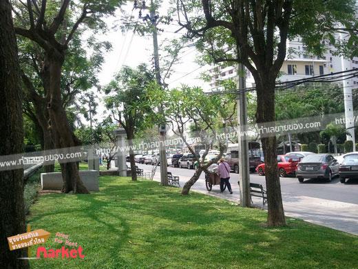 ตลาดนัดคลองสาน พื้นที่เช่าท่าเรือคลองสาน