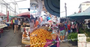 ตลาดนัดหลังฟาร์มจระเข้ ถนนท้ายบ้าน ตลาดนัดย่านสมุทรปราการ