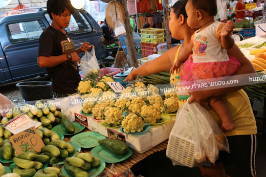 ตลาดนัดข้างโลตัสบางพลี