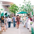 Go Green Market 20-21 พ.ย. 58