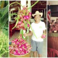 เลิกคิดสั้น,ปลดหนี้ได้ จากพระราชดำรัส ปี 40 [ ลุงนิล เกษตรคอนโด 9 ชั้น ]