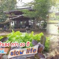 ทิ้ง.. บริษัทตัวเอง กว่า 20 ปี สู่ธุรกิจ slow life “ไก่ม่วน- ปิ๊กบ้าน”