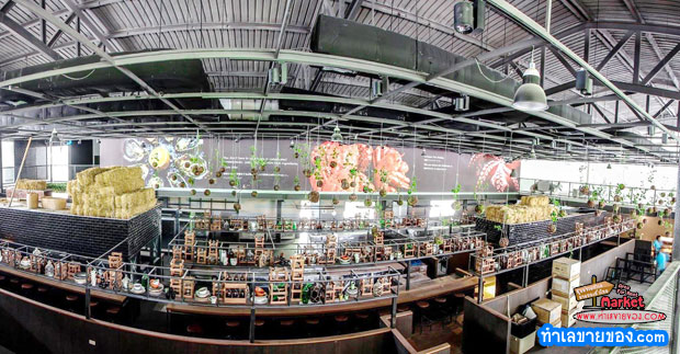 Shinsen Fish Market ตลาดปลาแนวใหม่ ที่แรกและที่เดียวในกรุงเทพ