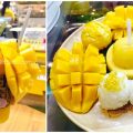 Mango Mania (แมงโก้ มาเนีย) แฟรนไชส์น้ำผลไม้ปั่น-เกรดพรีเมี่ยม