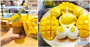 Mango Mania (แมงโก้ มาเนีย) แฟรนไชส์น้ำผลไม้ปั่น-เกรดพรีเมี่ยม