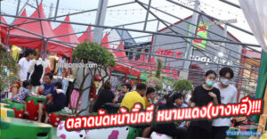 ตลาดนัดหน้าบิ๊กซี หนามแดง(บางพลี)