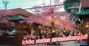 Ichiba station ตลาดนัดสไตล์ญี่ปุ่น แหล่งรวมอาหารอร่อย สินค้าแฟชั่น และ สนาม Surfskate แห่งใหม่