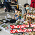 โซนต้นไม้ ตลาดสัมมากร รามคำแหง