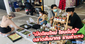 โซนต้นไม้ ตลาดสัมมากร รามคำแหง