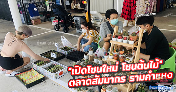 โซนต้นไม้ ตลาดสัมมากร รามคำแหง