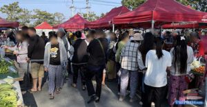 ตลาดนัดยามเช้า 331 (แปลงยาว): ตลาดนัดเช้าที่คุ้มที่สุดในย่านนิคมเกตเวย์!