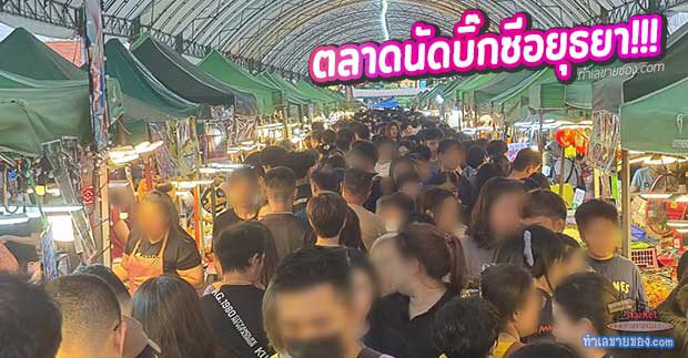 MK0029520T รีวิวจัดเต็มทุกมิติ!